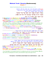 interlinear_deuteronomio.pdf